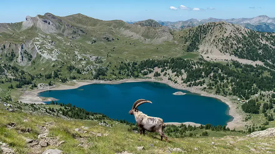 Lac d'Allos Mercantour