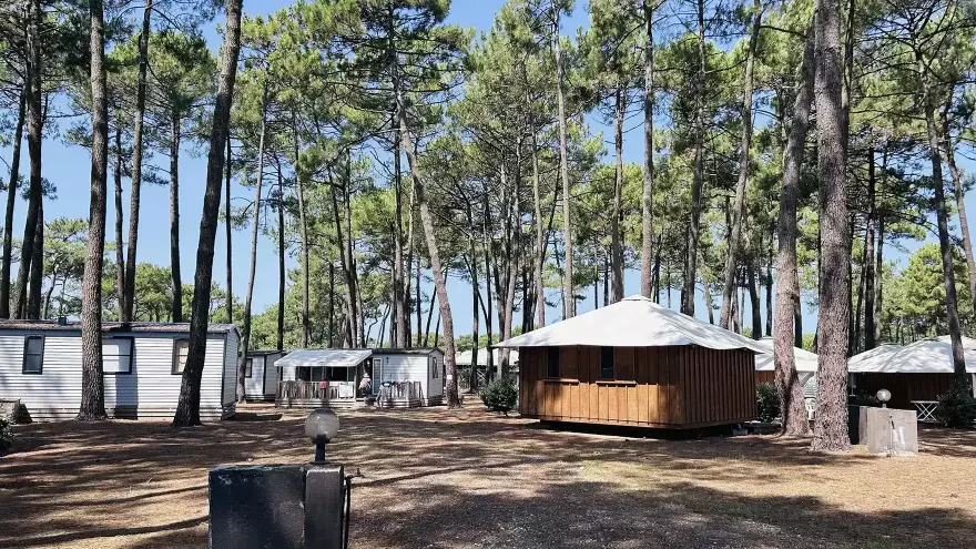 vue ensemble mobilhome et back banana