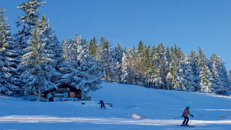 Ski de font