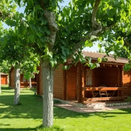 Location bungalows Golfe de Sant Jordi