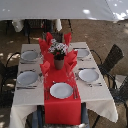 restauration extérieure VTF Domaine des Hautannes