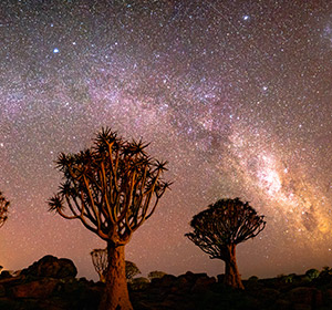 Vacance famille astronomie en Namibie