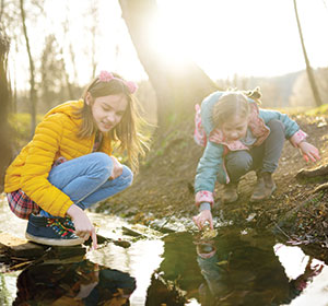 Family holidays according to the season