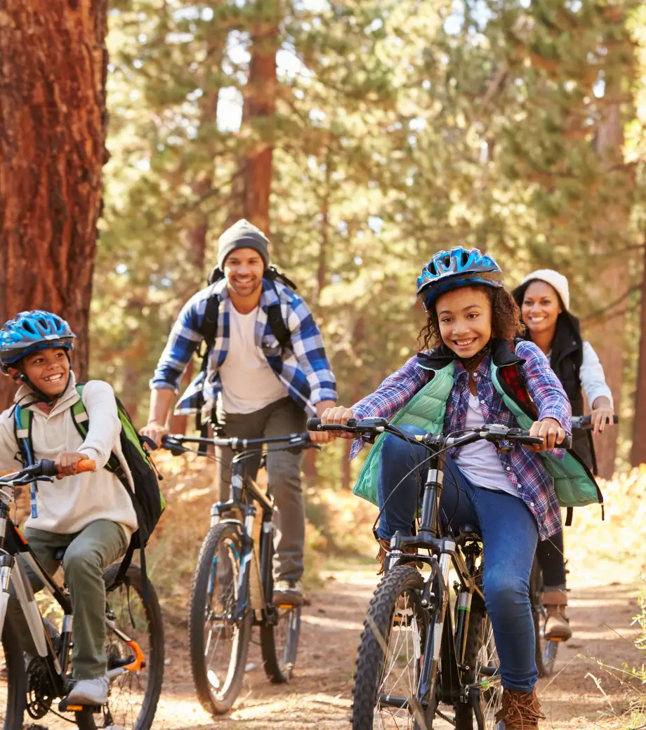 Service location de vélo