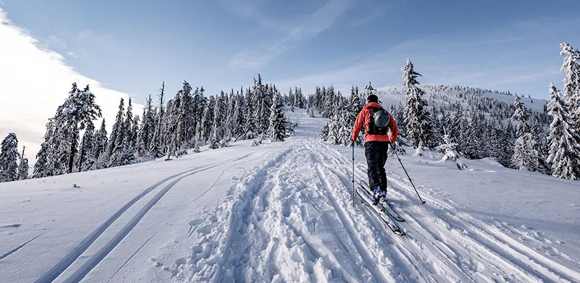 Ski de fond