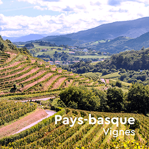 Vignes Pays Basque